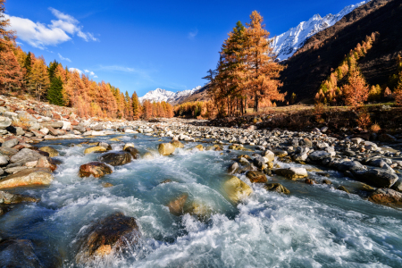 Bild-Nr: 12853327 Goldener Oktober im Lötschental - Wallis - Schweiz Erstellt von: Achim Thomae