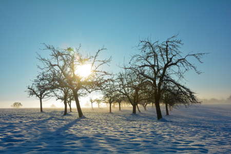 Bild-Nr: 12857102 Winter Idylle  Erstellt von: Claudia Evans