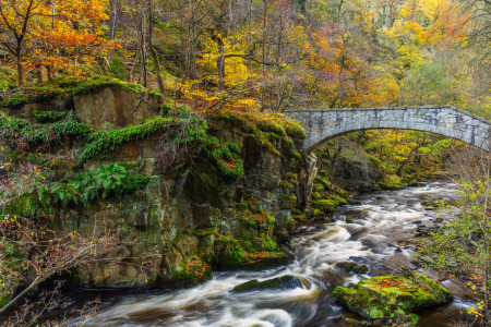 Bild-Nr: 12858234 Verwunschenes Bodetal Erstellt von: Daniela Beyer