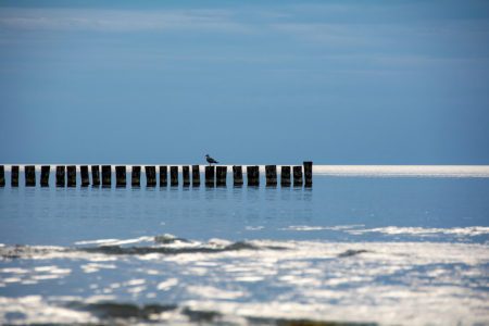 Bild-Nr: 12859413 Die Stille am Meer Erstellt von: Claudia Evans