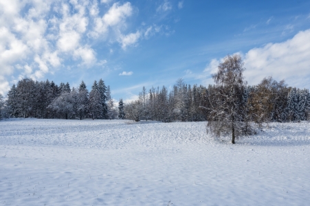 Bild-Nr: 12859627 Winterlandschaft Erstellt von: Claudia Evans
