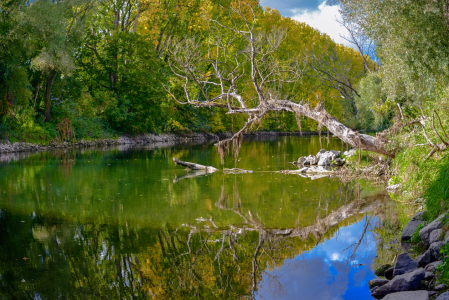 Bild-Nr: 12862662 Natur  Erstellt von: Gregor Handy