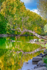 Bild-Nr: 12863524 An der Donau Erstellt von: Gregor Handy