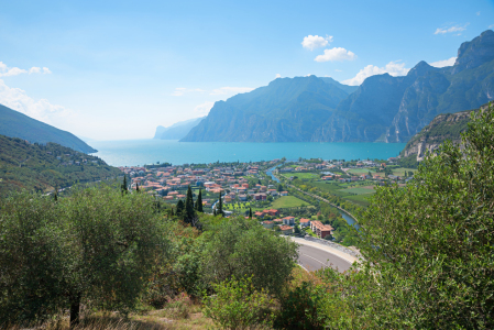 Bild-Nr: 12872741 Blick auf Torbole am Gardasee Erstellt von: SusaZoom