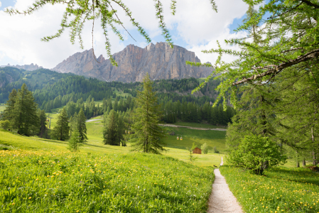 Bild-Nr: 12873851 Wanderweg Pisciadu Richtung Kolfuschg Erstellt von: SusaZoom