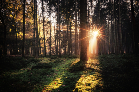 Bild-Nr: 12878726 Lichtstrahlen Erstellt von: Nordbilder