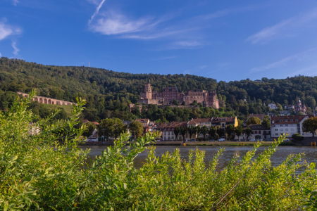 Bild-Nr: 12882708 Schloss Heidelberg - Panorama Erstellt von: uh-Photography