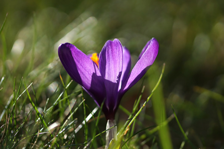 Bild-Nr: 12883129 Lichtspiele Erstellt von: youhaveadream