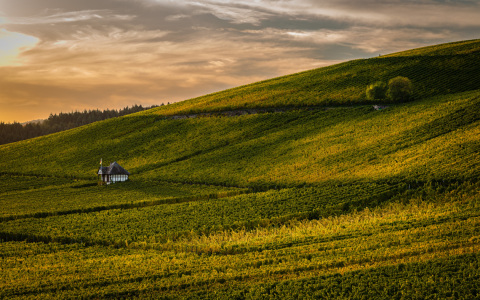Bild-Nr: 12883975 Goldener Oktober 37 Erstellt von: Erhard Hess