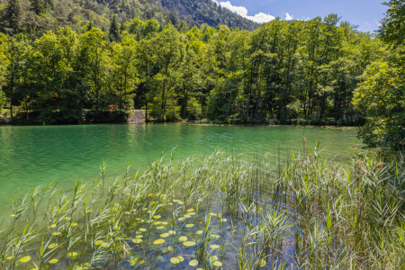 Bild-Nr: 12884300 Thumsee - Berchtesgadener Land Erstellt von: uh-Photography