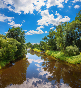 Bild-Nr: 12887044 Am Schwarzen Regen Niederbayern Erstellt von: SusaZoom
