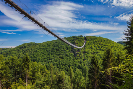 Bild-Nr: 12887470 Geierlay Hängeseilbrücke - Hunsrück Erstellt von: uh-Photography