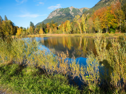 Bild-Nr: 12887759 Moorweiher Oberstdorf Herbstidylle II Erstellt von: SusaZoom