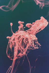 Bild-Nr: 12888896 Splash reverse Erstellt von: Sandra Höfer