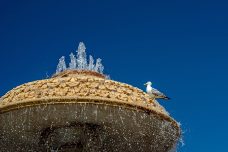 Bild-Nr: 12889156 Auf dem Petersplatz Erstellt von: maicolpue