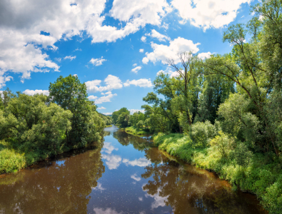 Bild-Nr: 12889167 Am Schwarzen Regen Niederbayern Erstellt von: SusaZoom