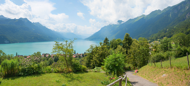 Bild-Nr: 12889887 Wanderweg oberhalb Brienz Berner Oberland II Erstellt von: SusaZoom