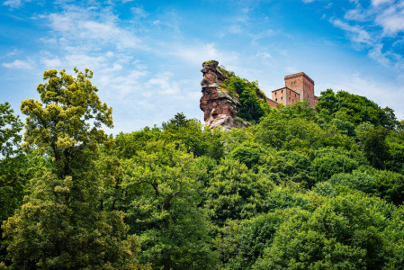 Bild-Nr: 12890635 Trifels-Südseite 85n Erstellt von: Erhard Hess