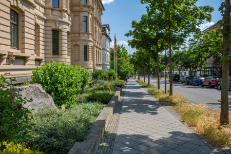 Bild-Nr: 12890874 Weimar Carl-August-Allee Erstellt von: Sandra Höfer