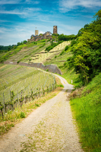 Bild-Nr: 12891027 Burg Thurant 99 Erstellt von: Erhard Hess