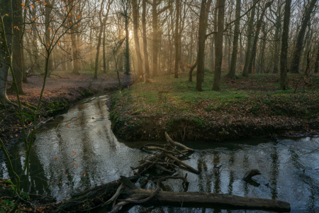 Bild-Nr: 12891233 Frühling am kleinen Waldbach im Ruhrgebiet Erstellt von: volker heide