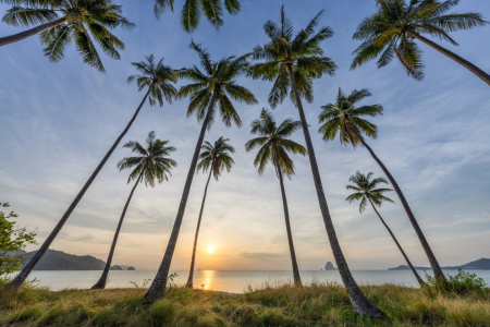 Bild-Nr: 12892064 Strand auf der Insel Koh Yao Yai in Thailand Erstellt von: eyetronic