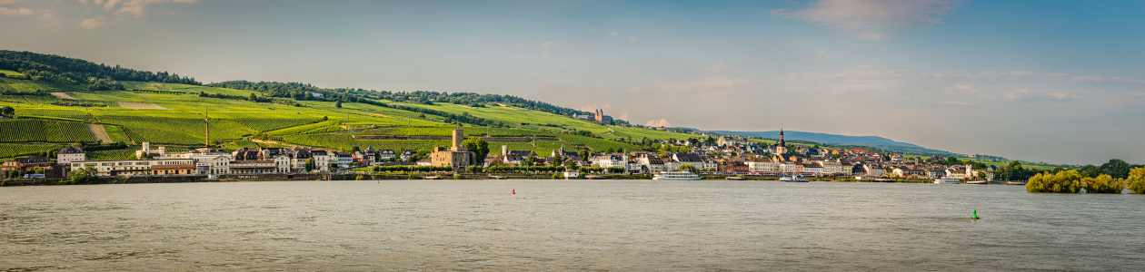 Bild-Nr: 12894814 Stadtpanorama Rüdesheim -5n- Erstellt von: Erhard Hess