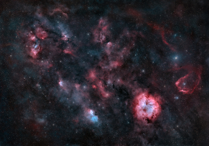 Bild-Nr: 12895732 Weitfeld Astrophoto der Konstellation Kepheus Erstellt von: Smileus