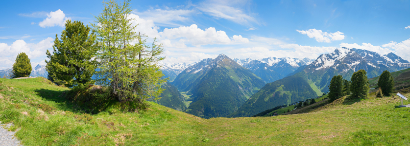 Bild-Nr: 12898483 Alpenblick am Penken Zillertal Erstellt von: SusaZoom