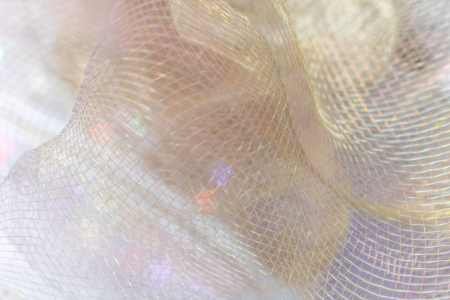 Bild-Nr: 12898493 Schimmerndes Netzgewebe in Nahaufnahme Erstellt von: Sandra Höfer