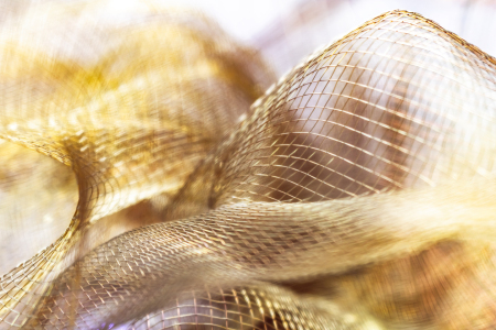 Bild-Nr: 12898494 Goldenes Netzgewebe in Bewegung Erstellt von: Sandra Höfer