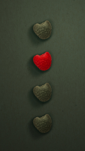 Bild-Nr: 12901650 Himbeeren in Reihe_Vertikaler Kontrast  Erstellt von: Sandra Höfer