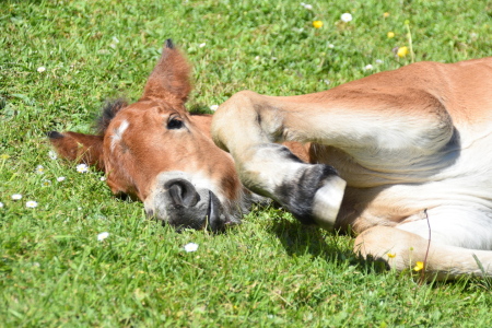 Bild-Nr: 12904135 relaxed Erstellt von: GUGIGEI