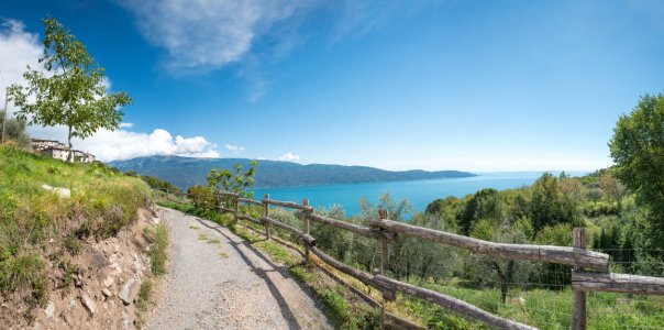 Bild-Nr: 12909992 Höhenweg Musaga am Gardasee Erstellt von: SusaZoom
