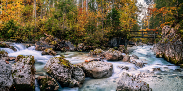 Bild-Nr: 12911285 Herbst im Berchtesgadener Land Erstellt von: Achim Thomae