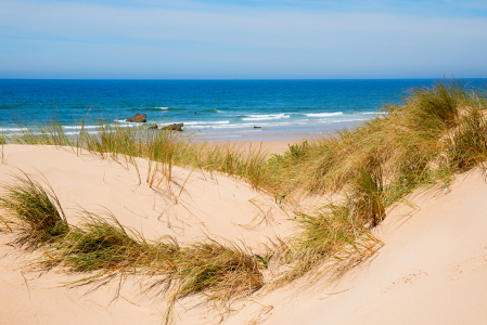 Bild-Nr: 12911595 Blaues Meer und Sanddünen mit Seegras Erstellt von: SusaZoom