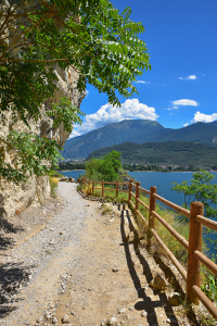 Bild-Nr: 12915182 Mountain Biker Weg am Gardasee Erstellt von: SusaZoom