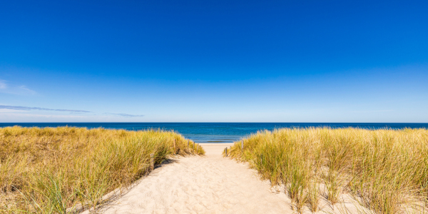 Bild-Nr: 12915915 Strand Ostseebad Dierhagen an der Ostsee Erstellt von: dieterich