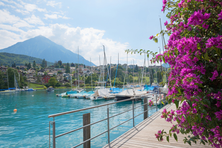 Bild-Nr: 12923250 Hafen Spiez am Thunersee Erstellt von: SusaZoom