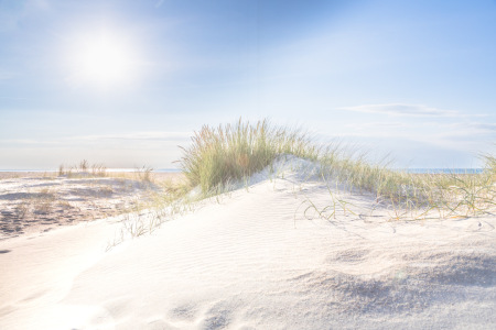 Bild-Nr: 12923545 Sonne in den Dünen Erstellt von: Ursula Reins