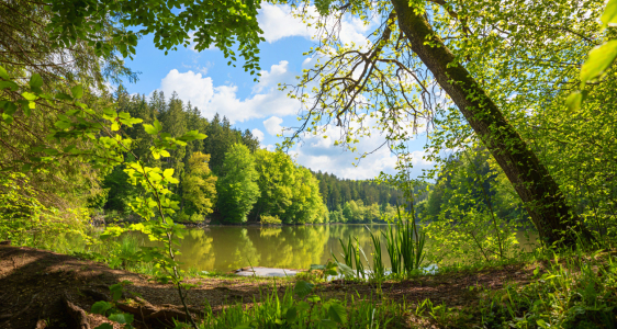 Bild-Nr: 12933868 Frühlingsidylle am See Erstellt von: SusaZoom