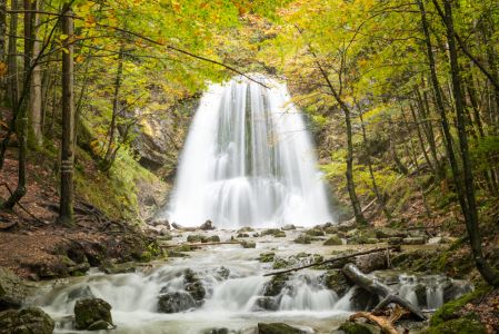 Bild-Nr: 12939070 Josefsthaler Wasserfall im Herbst Erstellt von: SusaZoom