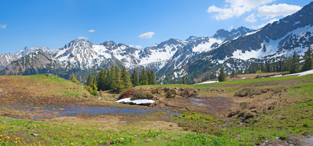 Bild-Nr: 12939278 Allgäuer Alpenfrühling Erstellt von: SusaZoom