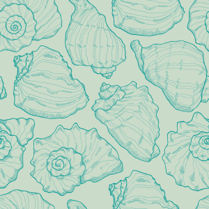 Bild-Nr: 9000423 Meeresmuscheln Aqua Erstellt von: patterndesigns-com