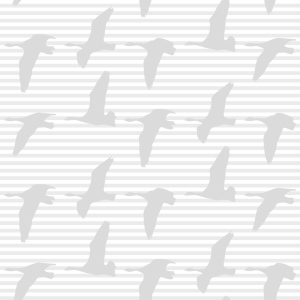 Bild-Nr: 9001554 Goose Gray Erstellt von: patterndesigns-com