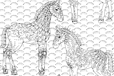 Bild-Nr: 9009510 Fohlen auf der Wiese Erstellt von: patterndesigns-com