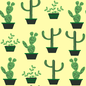 Bild-Nr: 9010330 Meine Kakteen Sammlung Erstellt von: patterndesigns-com