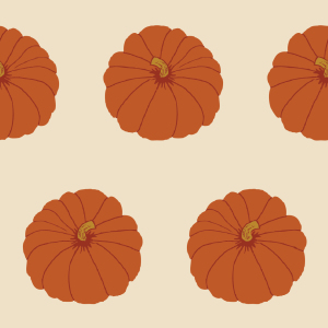 Bild-Nr: 9024914 Zierkürbis Orange Erstellt von: patterndesigns-com