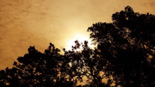 Bild-Nr: 9374746 sunshine Erstellt von: speedy-m86