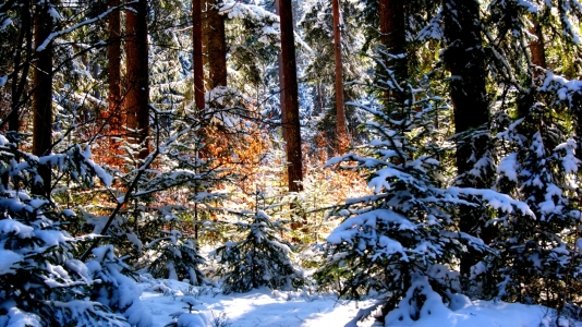 Bild-Nr: 9579276 Silence Erstellt von: youhaveadream